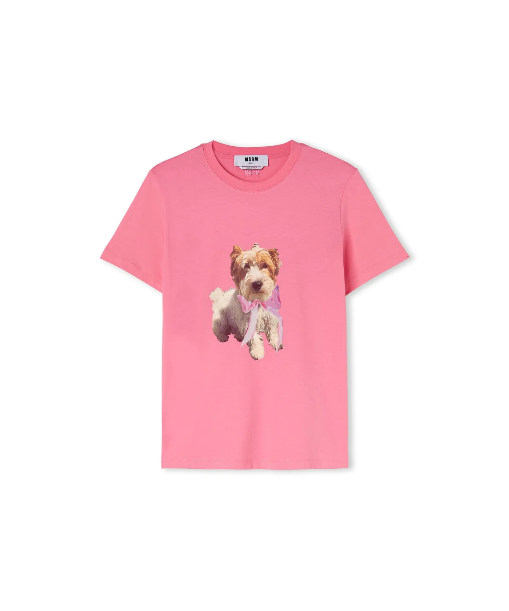 T-Shirt Girocollo In Cotone Con Stampa^MSGM Online