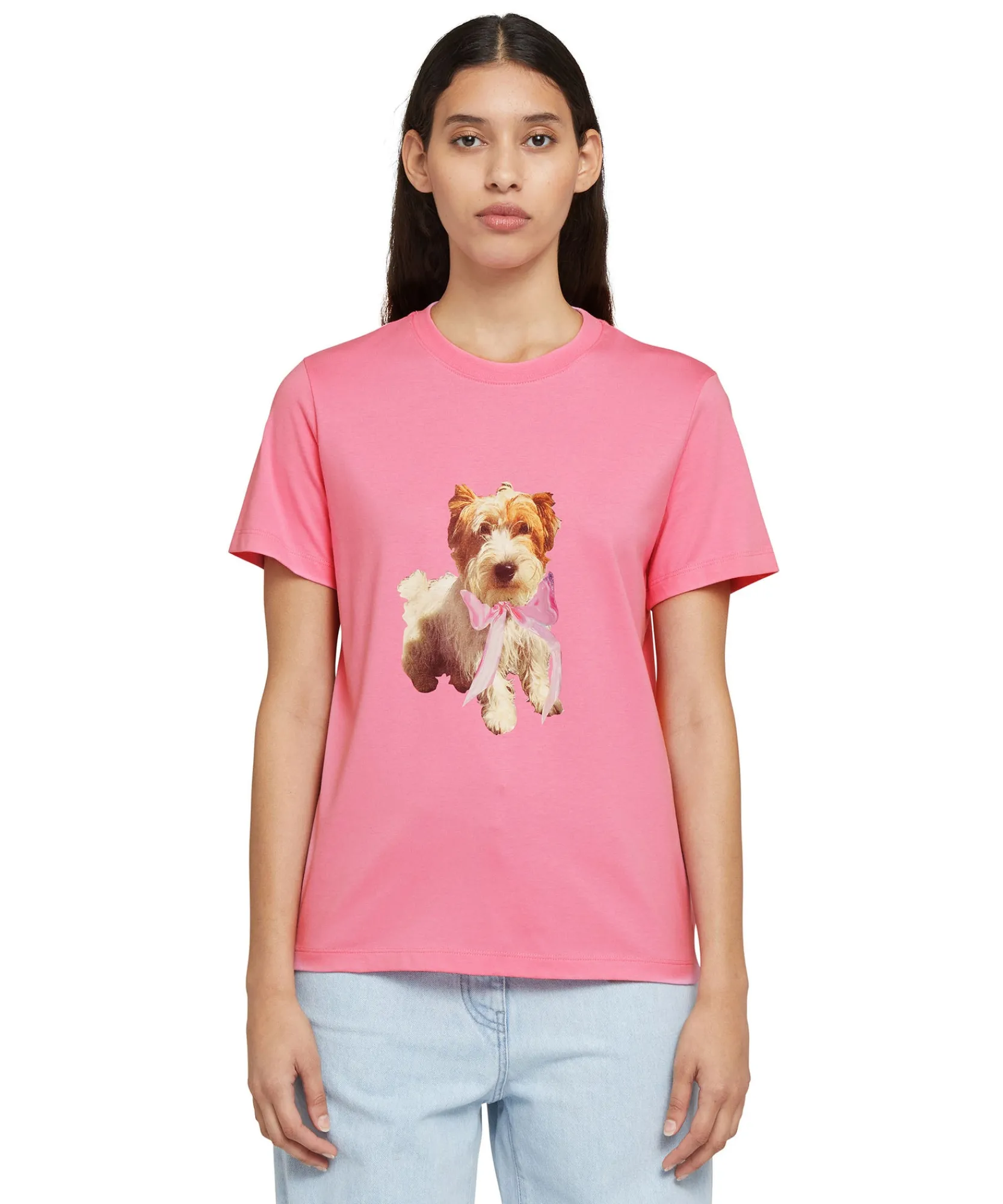 T-Shirt Girocollo In Cotone Con Stampa^MSGM Online