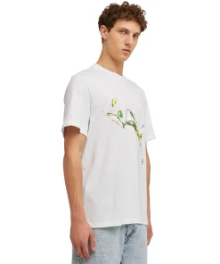 T-Shirt Girocollo In Cotone Con Grafica